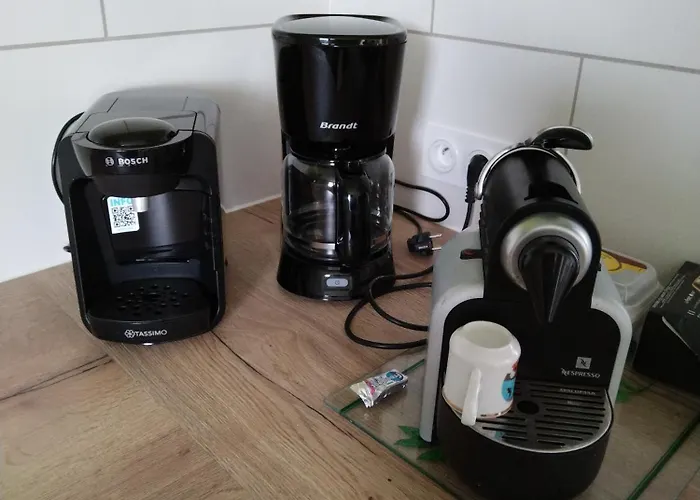 Location Maison De 2 à 6personnes Sur Célé Proche De Figeac